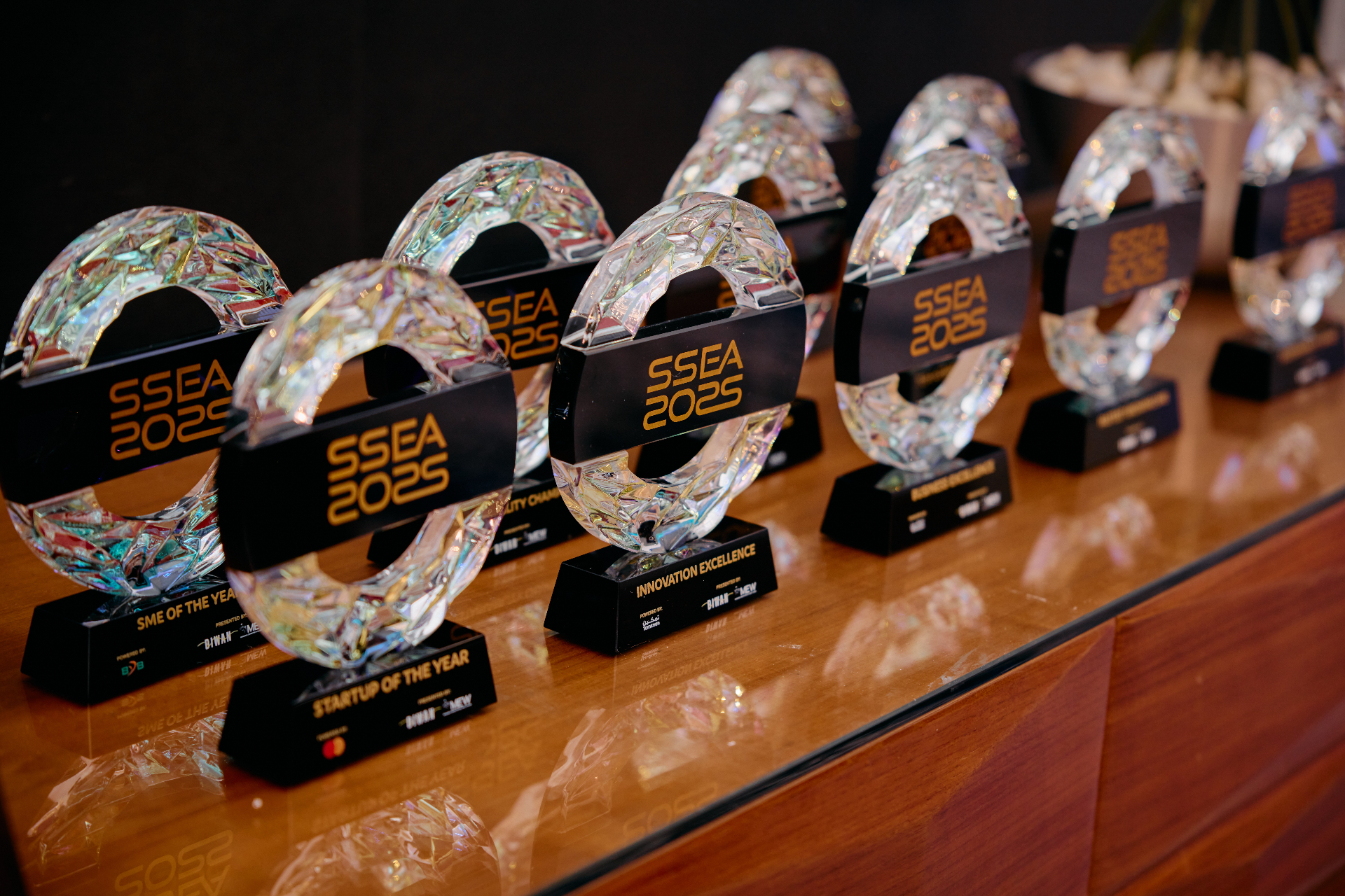The SSEA 2025 Trophies